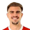 Nemanja Milojevic