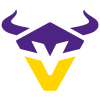 Vikings Vienna