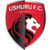 Ushuru
