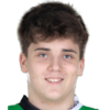 David Sindelar