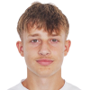 Tarik Seferovic