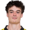 Cedric Van Meirvenne