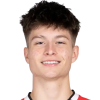 Esmir Bajraktarevic