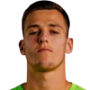 Radek Vitek