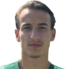 Ardit Destani