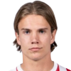 Niklas Brondsted Vesterlund Nielsen