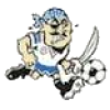 Port Adelaide Lion