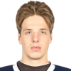 Pavel Anokhin