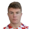 Vinko Rozic