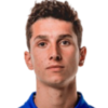 Tarik Ibrahimagic