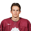 Daniels Gorsanovs