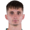 Dominik Plestil