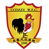 Changchun Dazhong W