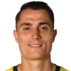 Vincent Sierro