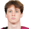 Karlis Tamenieks
