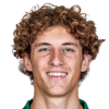 Finn van Breemen