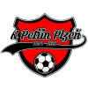 Petrin Plzen
