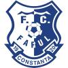 F. Constanta 2