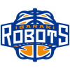 Ibaraki Robots