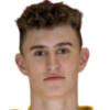Dominik Vachun