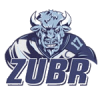 Zubr Minsk