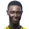 Ami Diallo