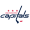 Washington Capitals