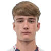 Louis Evans