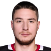 Vladislav Kara