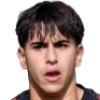 Luca Nolli