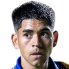 Fernando Bobadilla