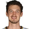 Tibor Pleiss