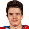 Petr Herkommer