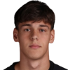 Vladan Carapic