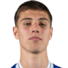 Ahmed Hadzimujovic