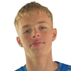 Alexander Mani Gudjonsson
