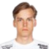 Hannes Sveijer