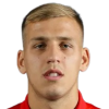 Vladimir Lucic