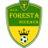 Foresta Suceava