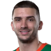 Rok Radovic