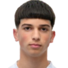 Dimitrije Plavsic