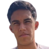 Wilder Wilches
