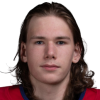 Georgi Plotnikov