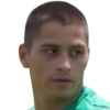 Danilo Radosevic