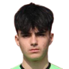 Nikola Filevski