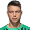 Federico Artioli