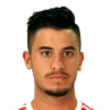 Raphael Guzzo