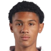 Perivan dos Santos
