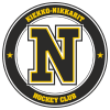 Nikkarit
