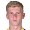 Josh Doig